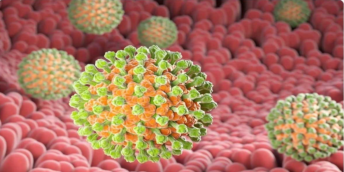 طراحی و ساخت نانو زیست حسگر الکتروشیمیایی جهت تشخیص روتا ویروس ها